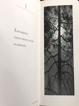 HAIKU & CAMERA
