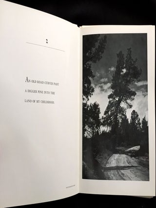 HAIKU & CAMERA