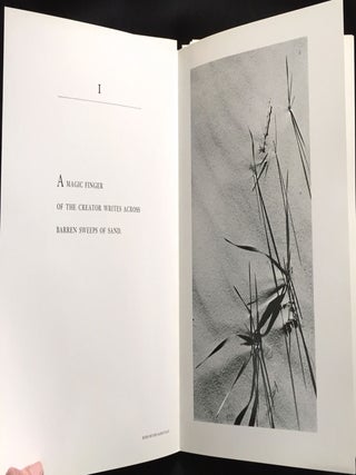 HAIKU & CAMERA