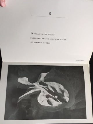 HAIKU & CAMERA