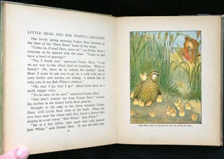 ADVENTURES OF SONNY BEAR; Illustrated by Warner Carr