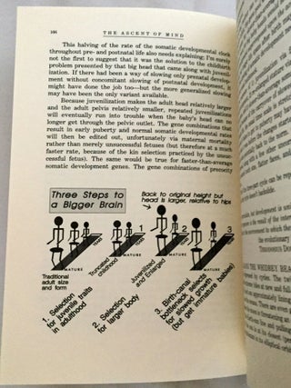 THE ASCENT OF MIND; Ice Age Climates and the Evolution of Intelligence