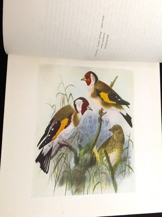 BIRDS OF BRITAIN; with 100 Illustrations in color selected by H. E. Dresser from his "Birds of Europe"