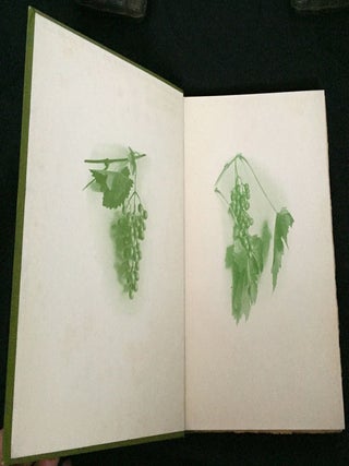 THE RUBAIYAT OF OMAR KHAYYAM; Rendered into English Verse by EDWARD FITZGERALD / Illustrated with thirty-eight pictures from photographs by MABEL EARDLEY-WILMOT