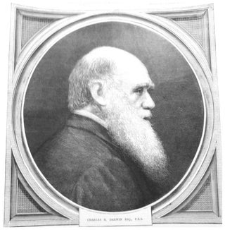 Item #140 CHARLES DARWIN Engraved Profile, 1878;. Print, Charles Darwin