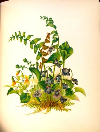 FLOWERS FROM DELL AND BOWER; Poems Illustrated by Susie Barstow Skelding
