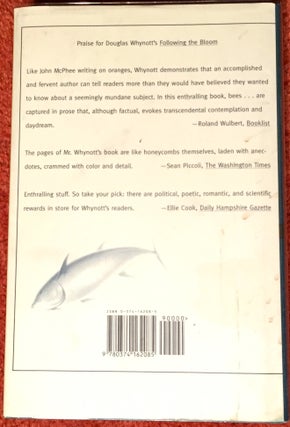 GIANT BLUEFIN
