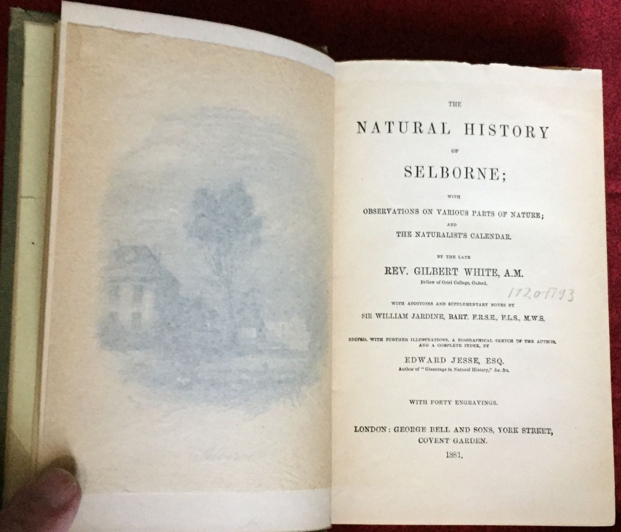 THE NATURAL HISTORY OF SELBORNE; with Observations on Various Parts of  Nature; and Naturalist's Calendar by the Late Rev. Gilbert White, A.M. /  with 