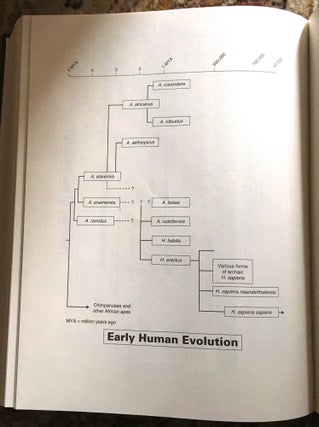 The Oxford Companion to Archaeology