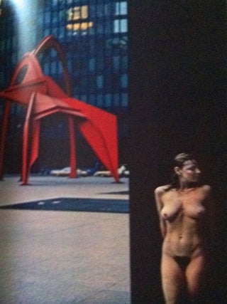 THE CHICAGO EXHIBITION