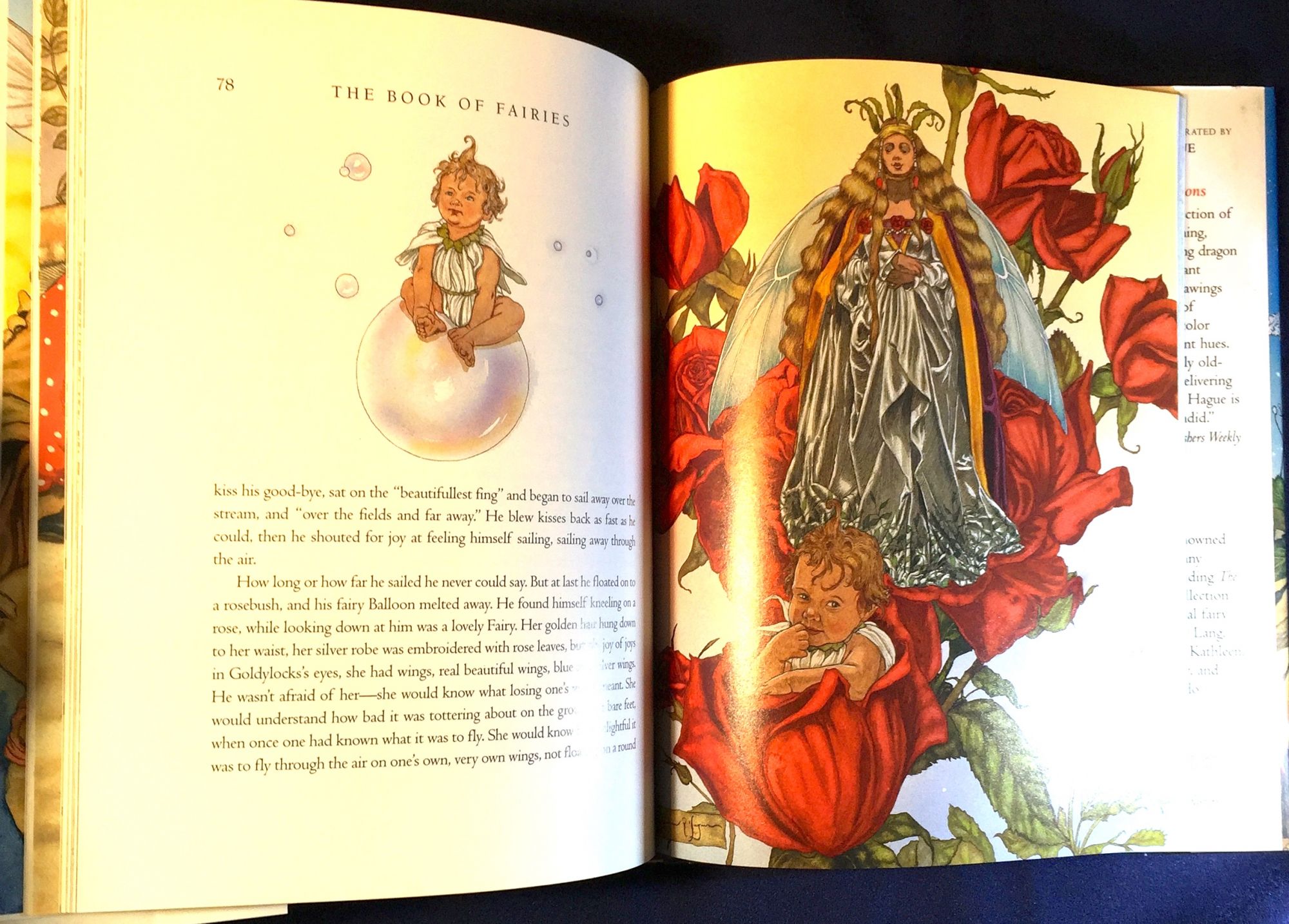 THE BOOK OF FAIRIES; Selected and Illustrated by Michael Hague ...