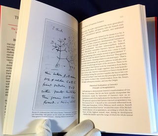 THE MEANING OF EVOLUTION; The Morphological Construction and Ideological Reconstruction of Darwin's Theory
