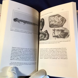 THE MEANING OF EVOLUTION; The Morphological Construction and Ideological Reconstruction of Darwin's Theory