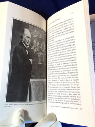 THE MEANING OF EVOLUTION; The Morphological Construction and Ideological Reconstruction of Darwin's Theory