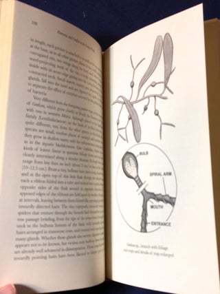 HAMONY AND CONFLICT IN THE LIVING WORLD; Illustrated by Dana Gardner