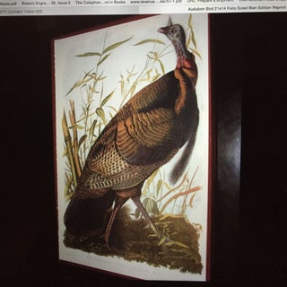 Item #286 "WILD TURKEY" from Bien facsimile ed. of Audubon's The Birds of America; Melagris...