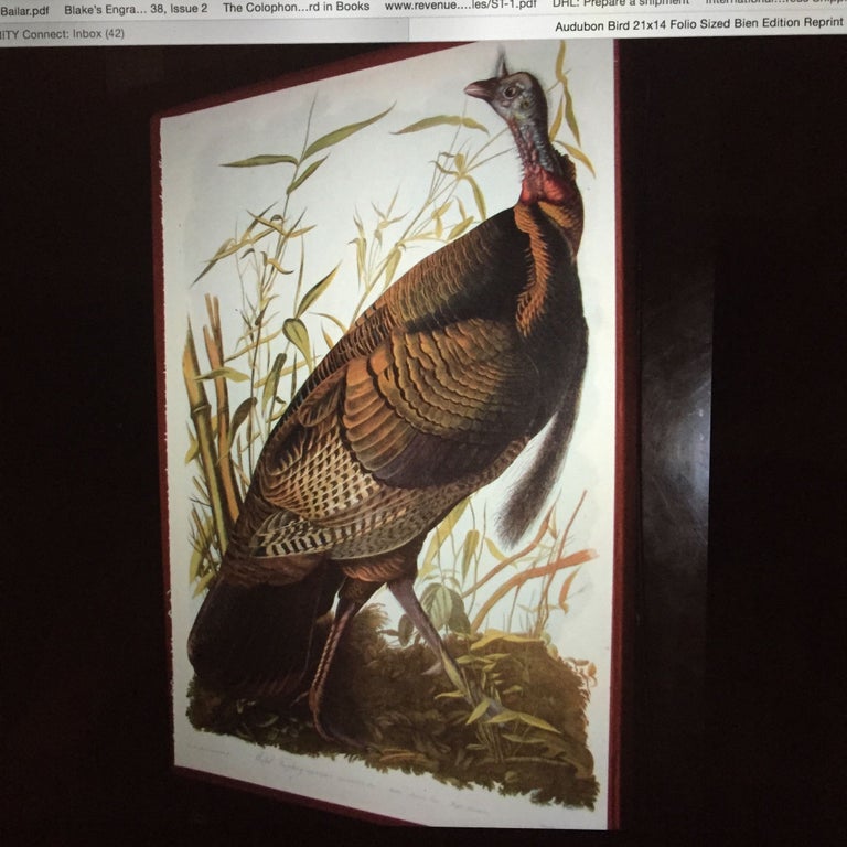 Item #286 "WILD TURKEY" from Bien facsimile ed. of Audubon's The Birds of America; Melagris Gallopavo Linn. Male American Cane Miegia Macrosperma. John James Audubon.