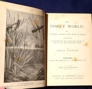 Item #3388 THE INSECT WORLD; and A Popular Account of the Order of Insects, / Together with a...