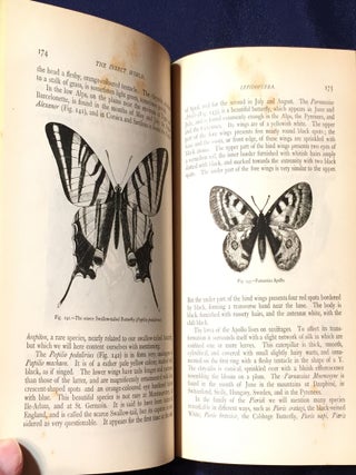 THE INSECT WORLD; and A Popular Account of the Order of Insects, / Together with a Description of the Habits and Economy of Some of the Most Interesting Species / A New Edition revised and corrected by P. Martin Duncan, F.R.S.