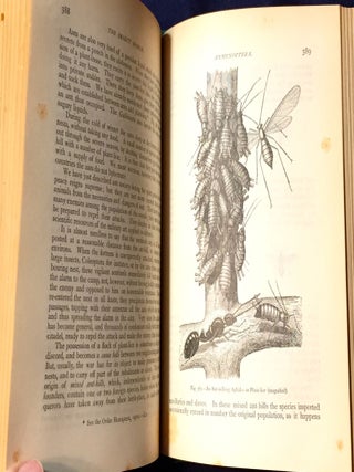 THE INSECT WORLD; and A Popular Account of the Order of Insects, / Together with a Description of the Habits and Economy of Some of the Most Interesting Species / A New Edition revised and corrected by P. Martin Duncan, F.R.S.
