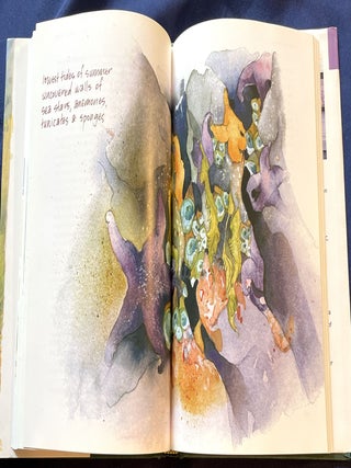 THE LAST ISLAND; A Naturalist's Sojourn on Triangle Island