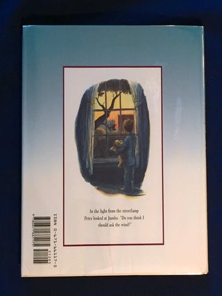 A BED FOR THE WIND; By Roger B. Goodman / Illustrated by Kimberly Bulcken Root