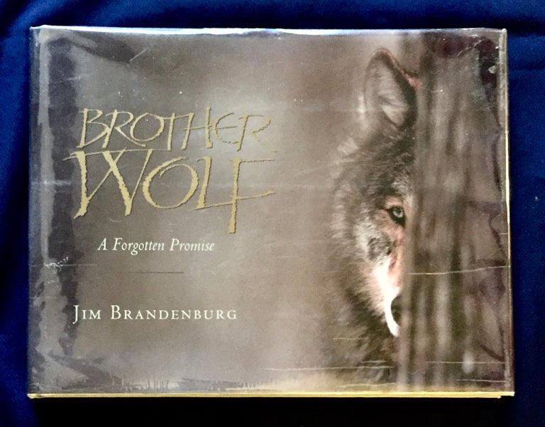 Item #4734 BROTHER WOLF; A Forgotten Promise. Jim Brandenburg.