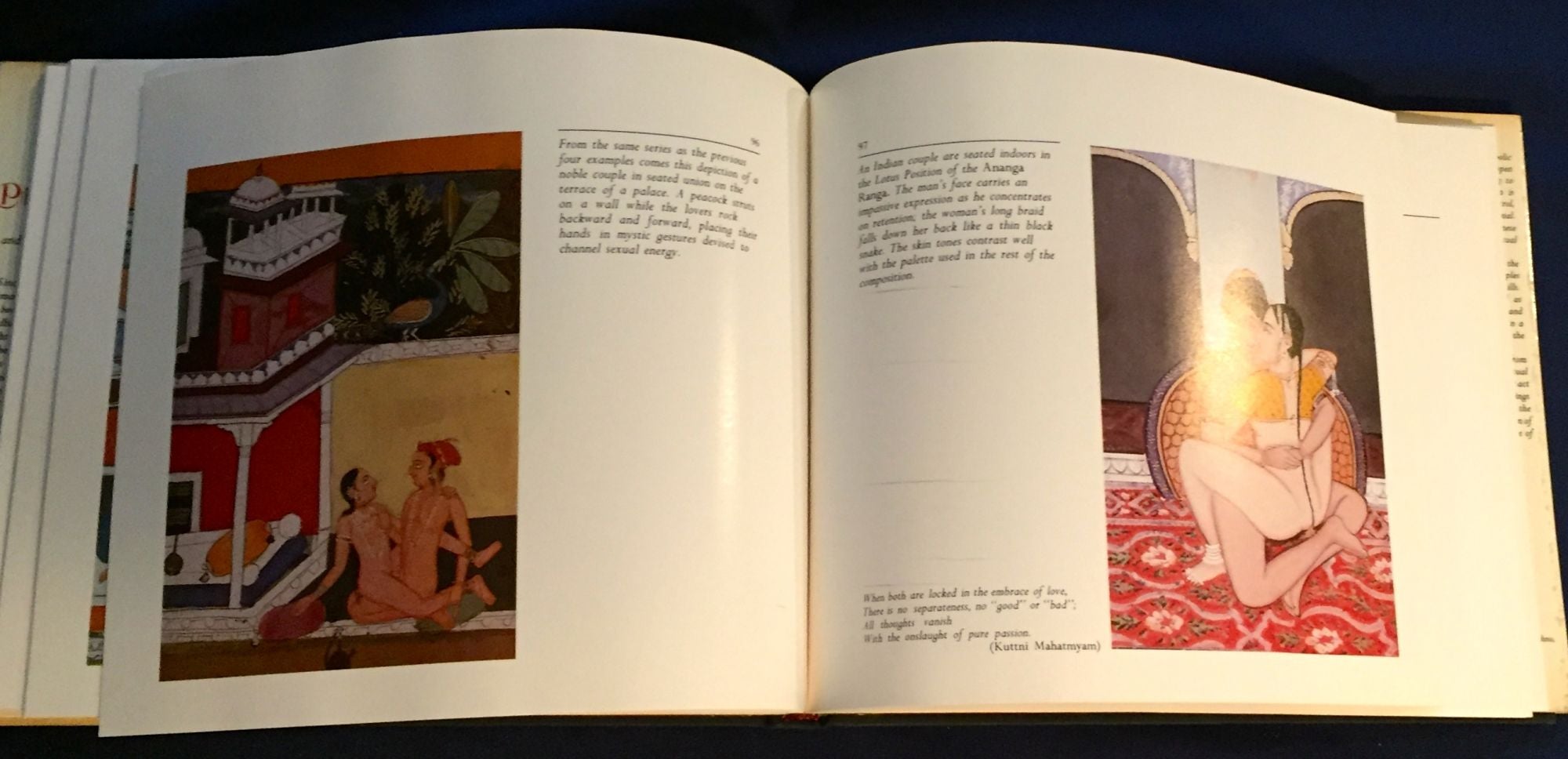 THE PILLOW BOOK; The Erotic Sentiment and the Paintings of India, Nepal,  China & Japan by Nik Douglas, Penny Slinger on Borg Antiquarian