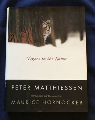 Item #5174 TIGERS IN THE SNOW; Peter Matthiessen / Introduction and photographs by Maurice...
