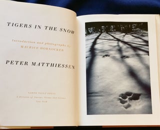 TIGERS IN THE SNOW; Peter Matthiessen / Introduction and photographs by Maurice Hornocker