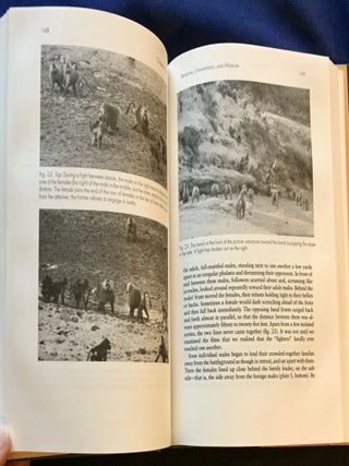 IN QUEST OF THE SACRED BABOON; A Scientist's Journey / Hans Kummer / Translated by M. Ann Biederman-Thorson