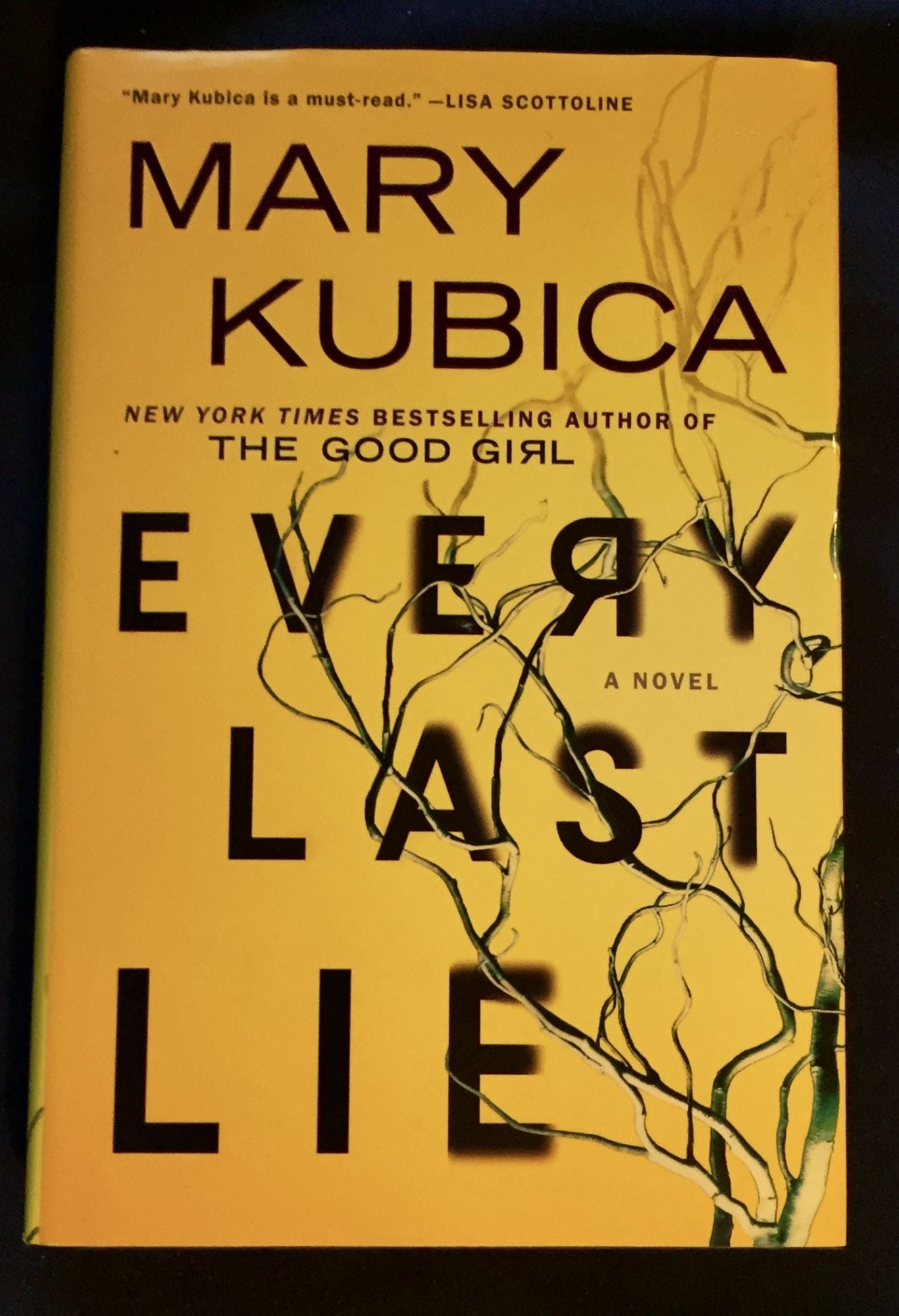 EVERY LAST LIE; Mary Kubica, Mary Kubica