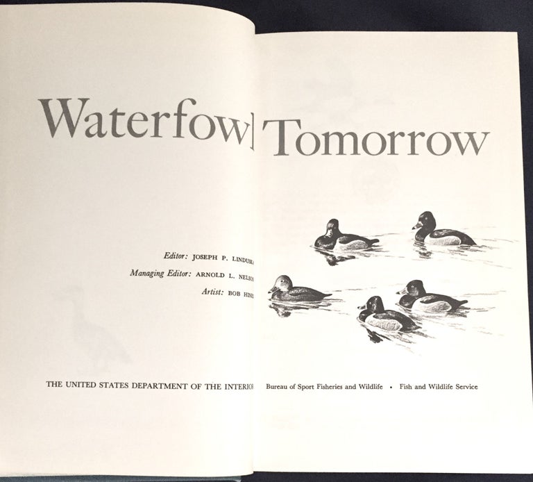 Item #5975 WATERFOWL TOMORROW; Artist Bob Hines. Joseph P. Linduska, ed.