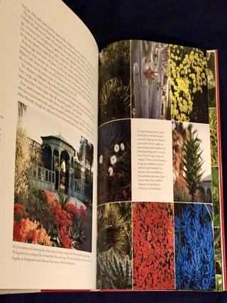 THE COLLECTOR'S GARDEN; Designing with Extraordinary Plants / Edited by Margaret Roach Design by Richard Ferretti