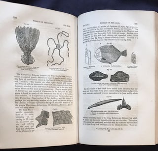 A MANUAL OF ELEMENTARY GEOLOGY; By Sir Charles Lyell, M.A. F.R.S. / Revised from the Sixth Edition, Greatly Enlarged / Illustrated with 750 Woodcuts