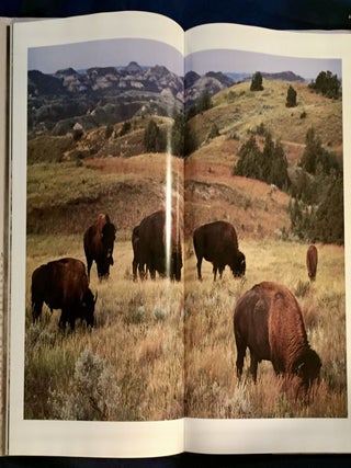 THE BISON; Monarch of the Plains / Photography by David Fitzgerald / Text by Linda Hasselstrom / Foreword by James Welch