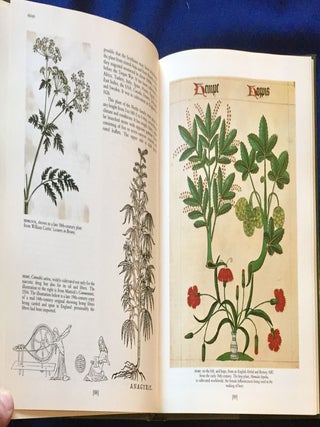 A COUNTRY HERBAL