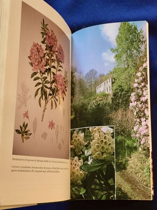 TALES OF THE ROSE TREE; Ravishing Rhododendrons and Their Travels Around the World