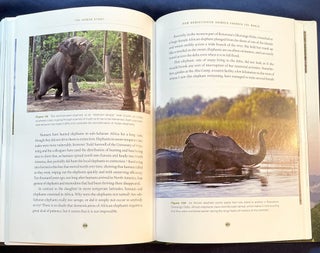 THE DARWINIAN TOURIST; Viewing the World through Evolutionary Eyes / With Photographs by the Author