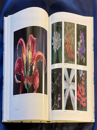 WILDFLOWERS ACROSS AMERICA; Photographs Selected by Les Line
