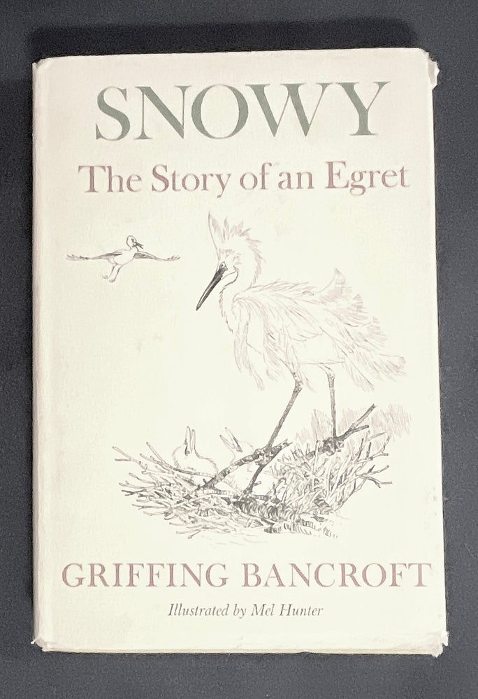 Item #8992 SNOWY:; The Story of an Egret /By Griffing Bancroft / Illustrations by Mel Hunter. Griffing Bancroft.