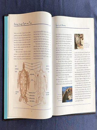 SEA TURTLES OF HAWAI'I; Science Adviser George Balaz